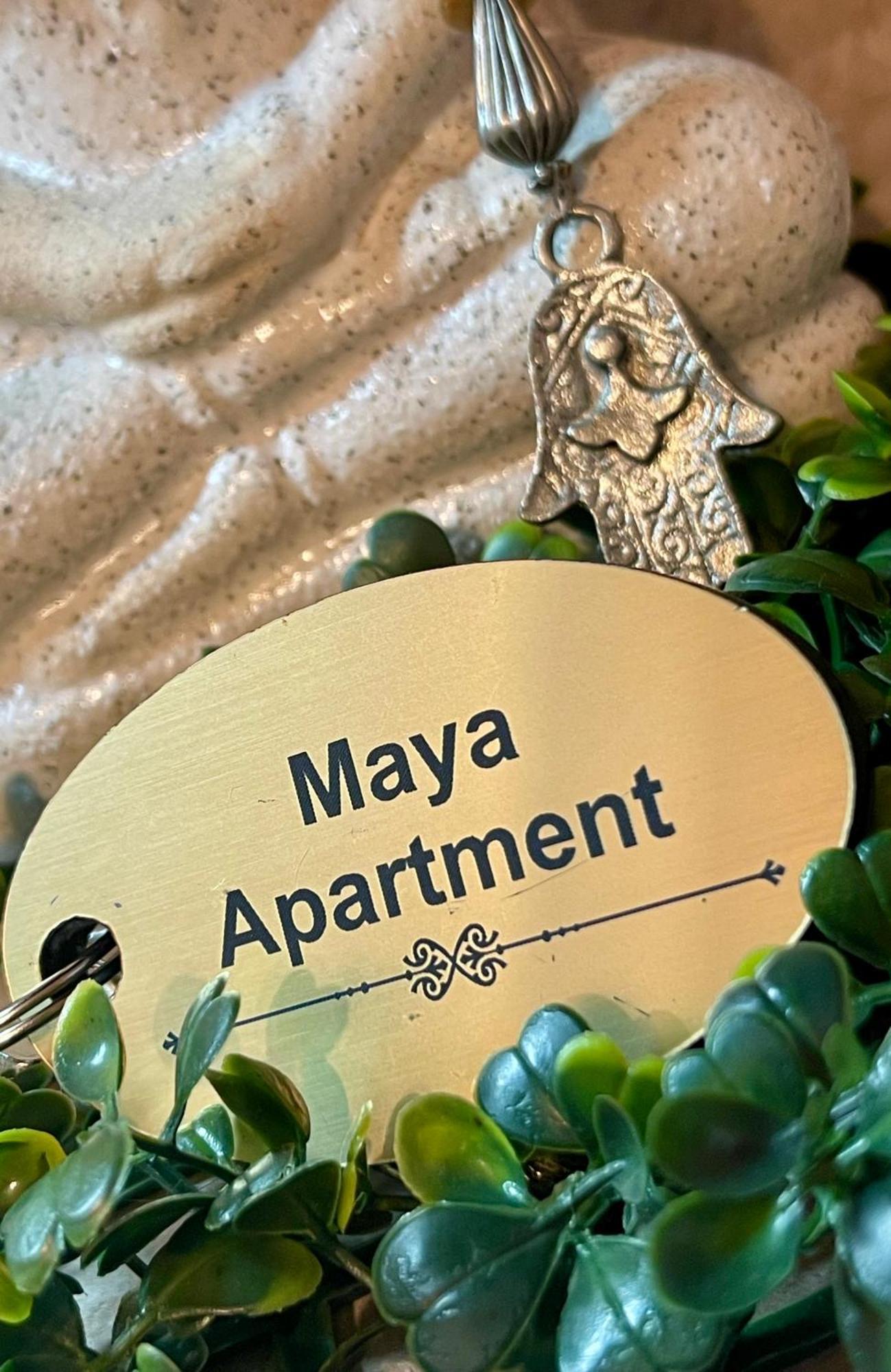 Maya Apartment Cluj-Napoca Buitenkant foto